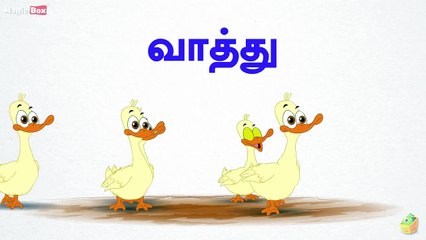 Duck (வாத்து) - Birds (பறவைகள்) - Learn Tamil Spelling (தம��