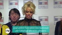 Pamela Anderson - Alerte à l'assemblée