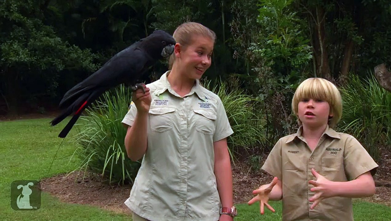Bindi Irwin Footprints In The Sand