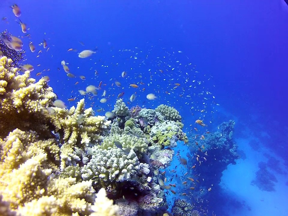 Egypte 2015 - 5