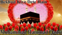 Muhammad Hammad Qadri - Bekhud Kiye Dete Hain