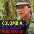 What Does the Peace Mean for FARC Rebels? Chapter 2