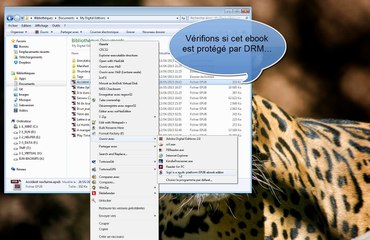 Dedee 1.1 - Dédicace d'ebook au format ePub avec DRM !