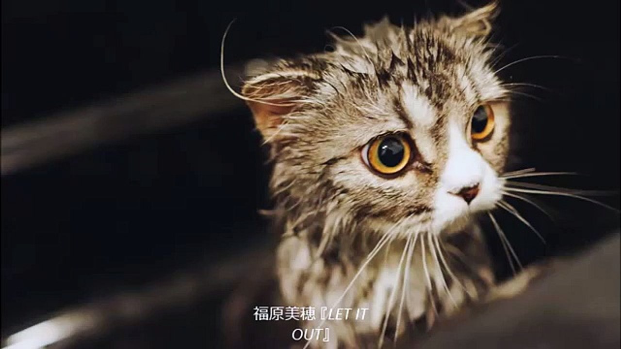 Full HD LET IT OUT 福原美穂