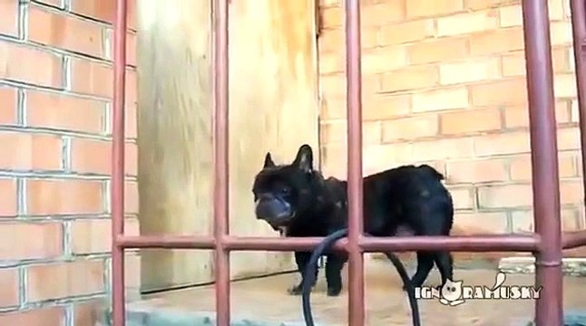 Откройте мне дверь