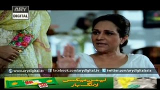 Riffat Aapa Ki Bahuein Episode 42 ARY Digital - 20th January 2016
