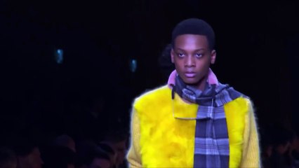 Fendi - Fall Winter 2016-2017 Full Fashion Show - Menswear