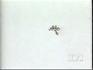 Aviation - Civil - Biplane Crashes Into The Snow