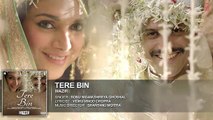 Hindi song 2016 'TERE BIN' Full AUDIO song   Wazir   Farhan Akhtar, Aditi Rao Hydari   Sonu Nigam, Shreya Ghoshal