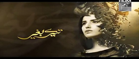 Tere Baghair Episode 15 Promo HUM TV Drama 20 Jan 2015