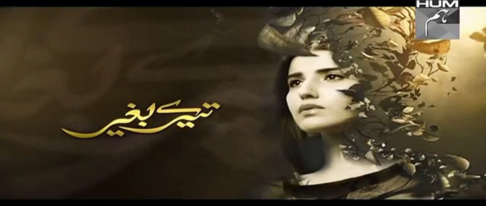 Tere Baghair Episode 15 Promo HUM TV Drama 20 Jan 2015