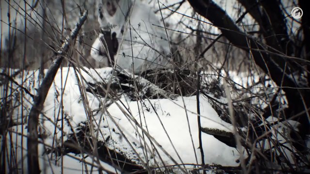 Битва при Балатоне. Разгром немецких танков.