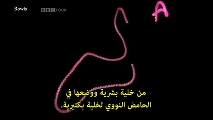 وثائقي BBC - سلسلة الخلية -3- شرارة الحياة - فيديو