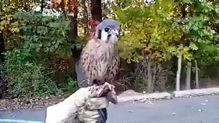 old lady having some fun
