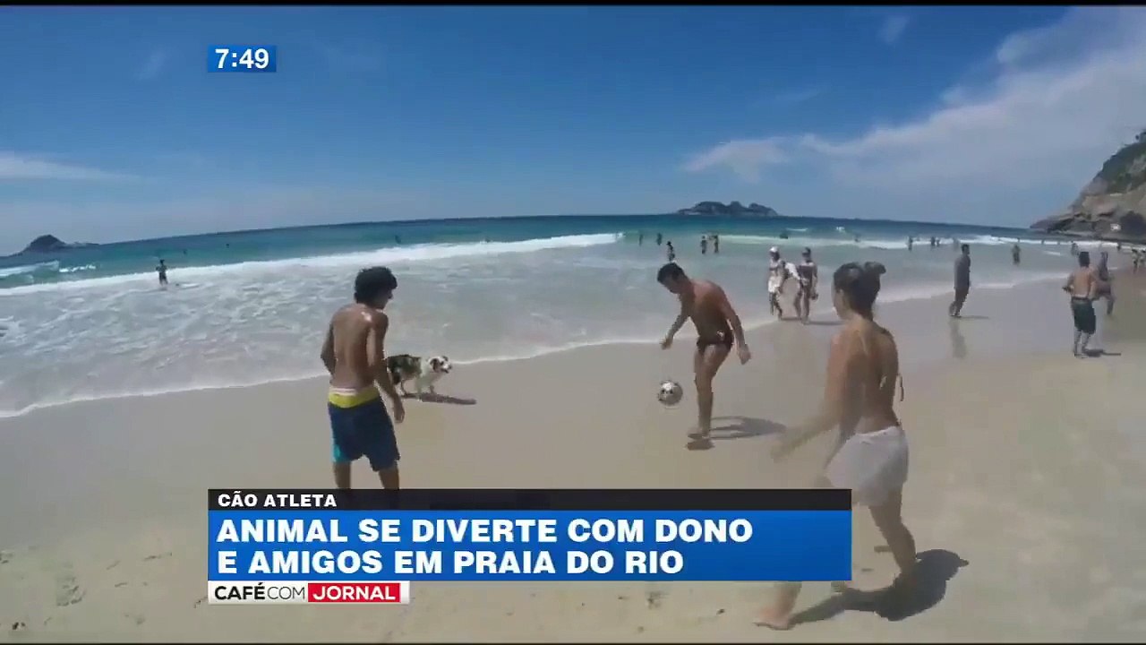 Les jongles incroyables d'un chien au Brésil