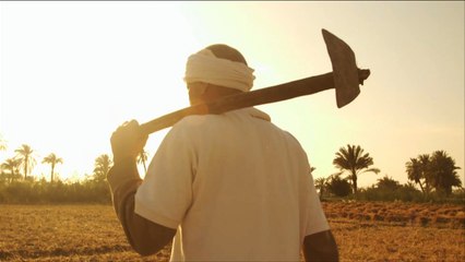 تحت المجهر – "لقمة عيش" المصريين.. معاناة مستمرة