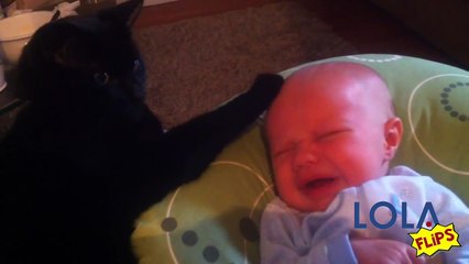 Cat Soothes Baby To Sleep