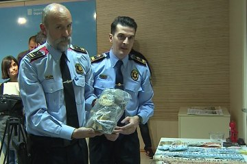 Golpe a una banda que distribuía metanfetaminas