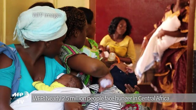 WFP: Nearly 2.5 million people face hunger in Central Africa