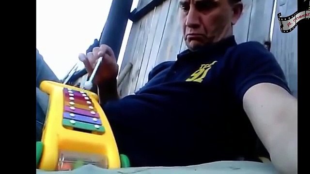 Подборка приколов, животные, падения, смешные видео