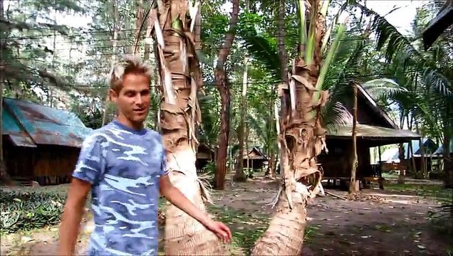 Transformation - Koh Chang, Thailand