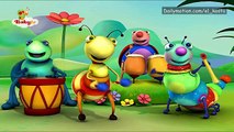 Big Bugs Band - Brazillian Carnival