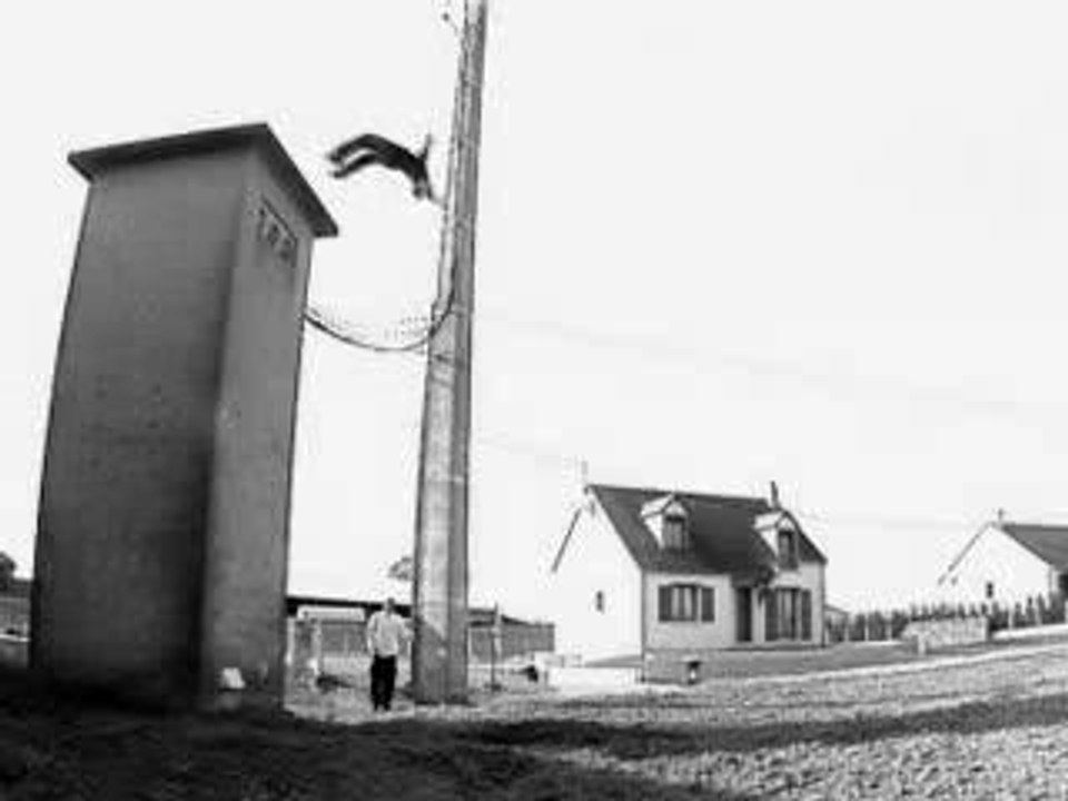 Le Parkour - Cyril Raffaelli