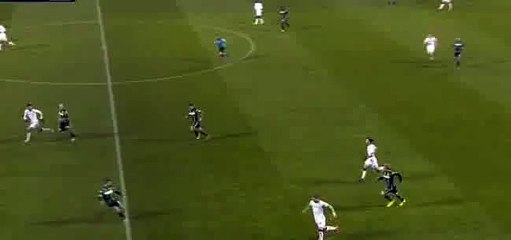 Andrea Belotti Goal - Sassuolo 0 - 1 Torino - 20-01-2016