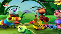 Big Bugs Band Go Classical