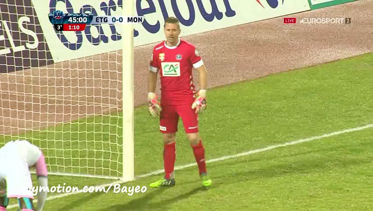 All Goals HD - Evian TG 1-3 Monaco - 20-01-2016 Coupe de France