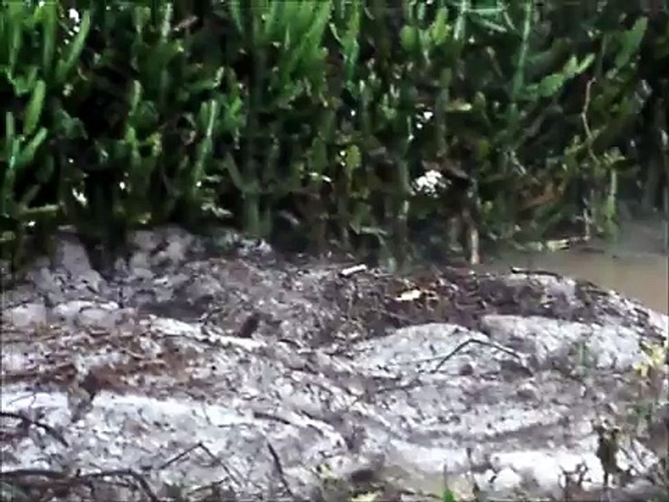 Cae nieve en Cuba