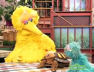 Sesame Street - Big Bird Finds a Turtle