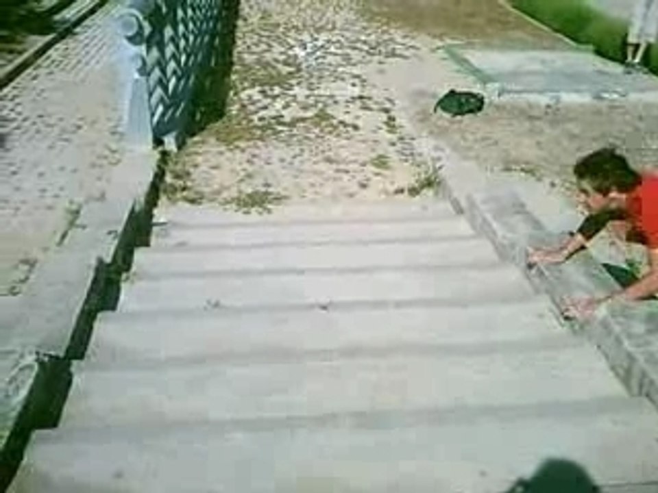 Trailer Alex-Metal Traceurs