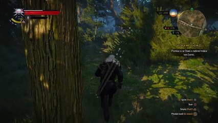The Witcher 3: Wild Hunt