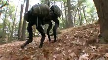 BigDog le chien robot