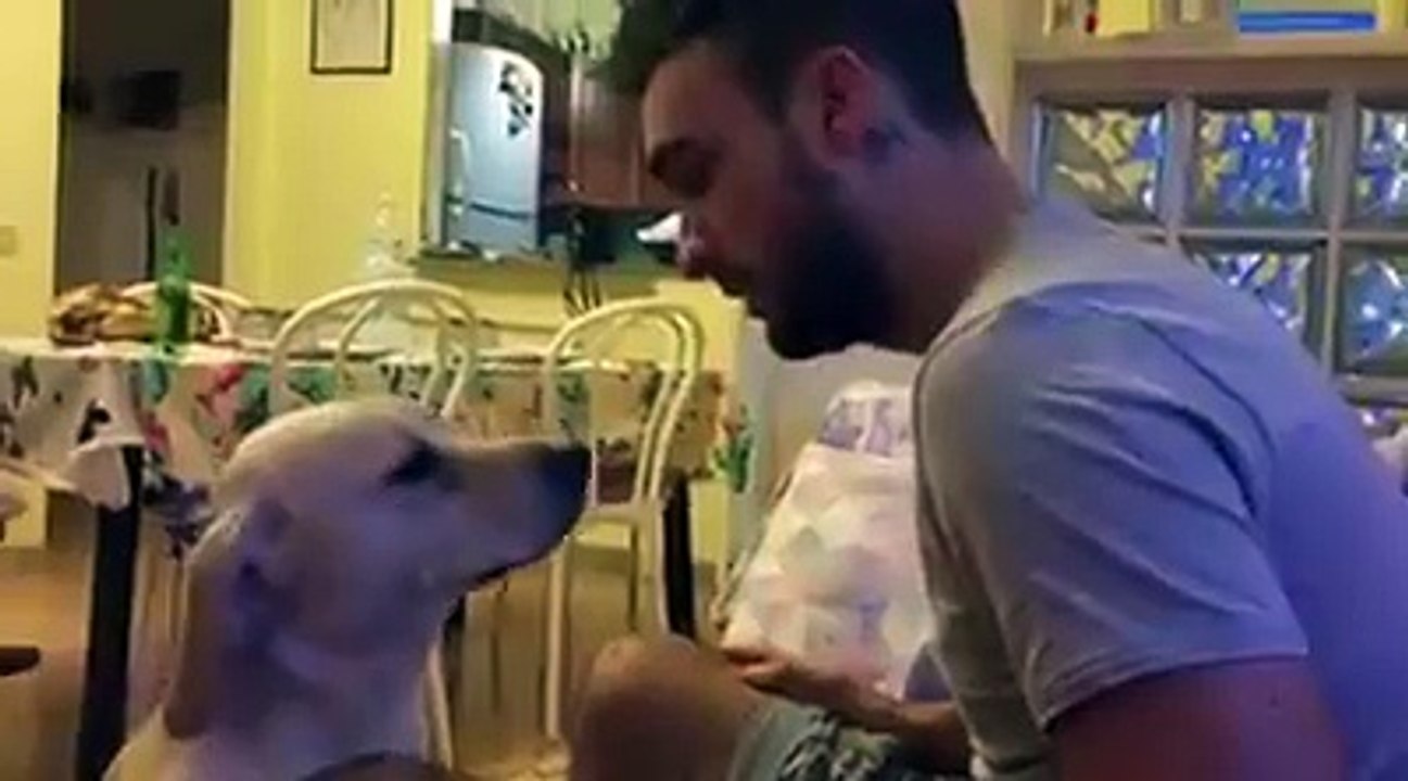 Best dog reaction...it will melt your heart.