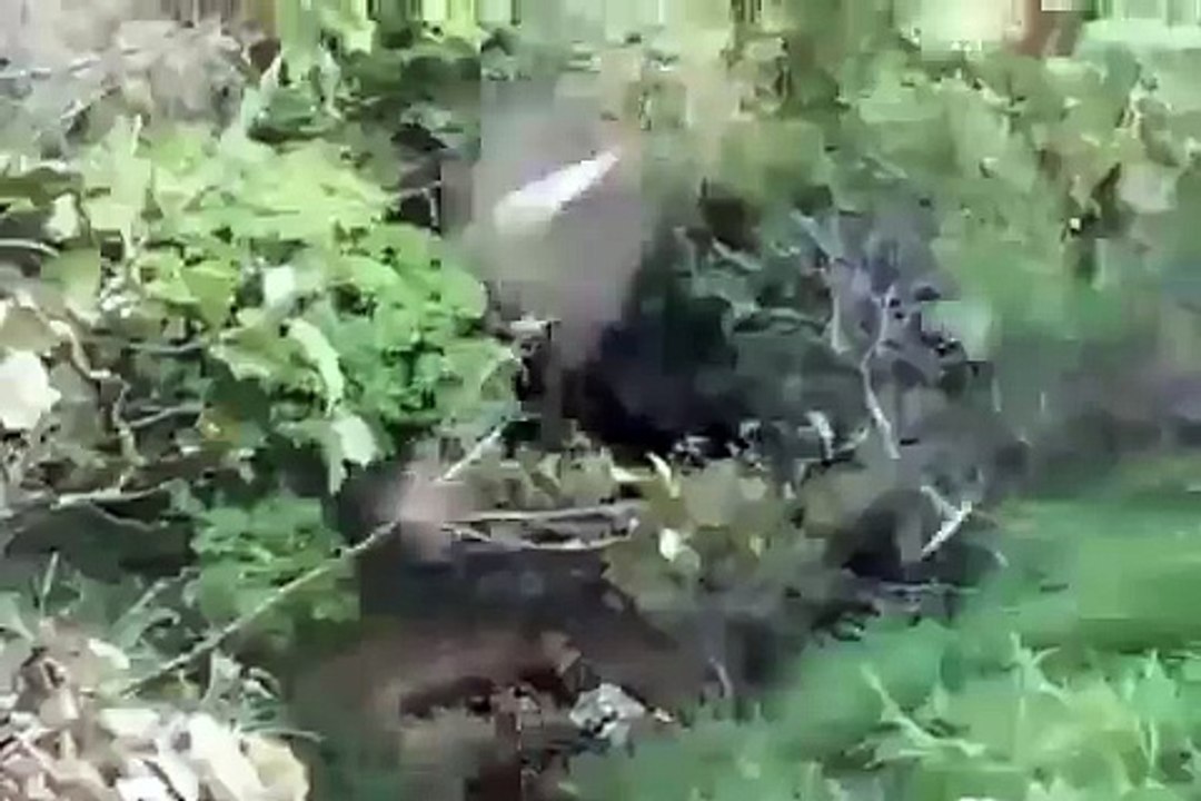 One second