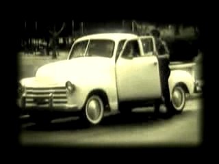 The Low Lows - Dear Flies Love Spider