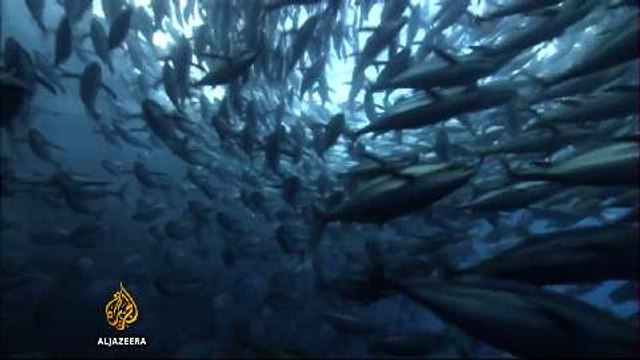 From the archives: Microplastics fill world's oceans