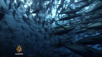 From the archives: Microplastics fill world's oceans