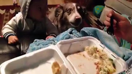 MIGNON - Normalement 'est les enfants qui disent Maman non? x)