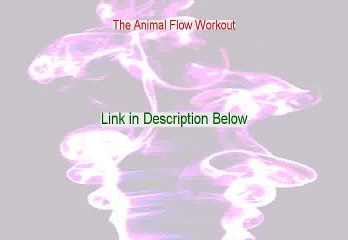 The Animal Flow Workout Review - the animal flow workout review