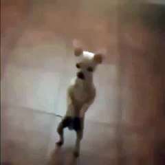 music that matches excatly