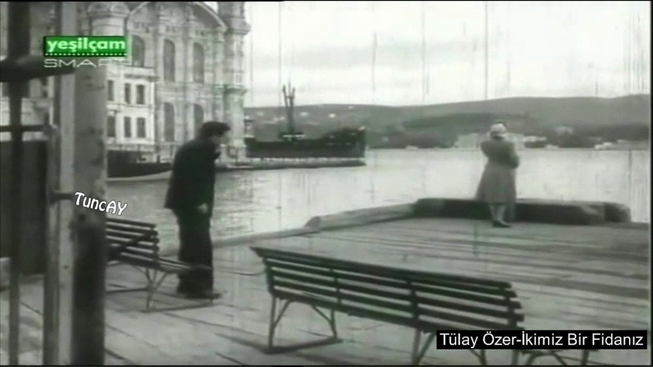 Tülay Özer-İkimiz Bir Fidanız