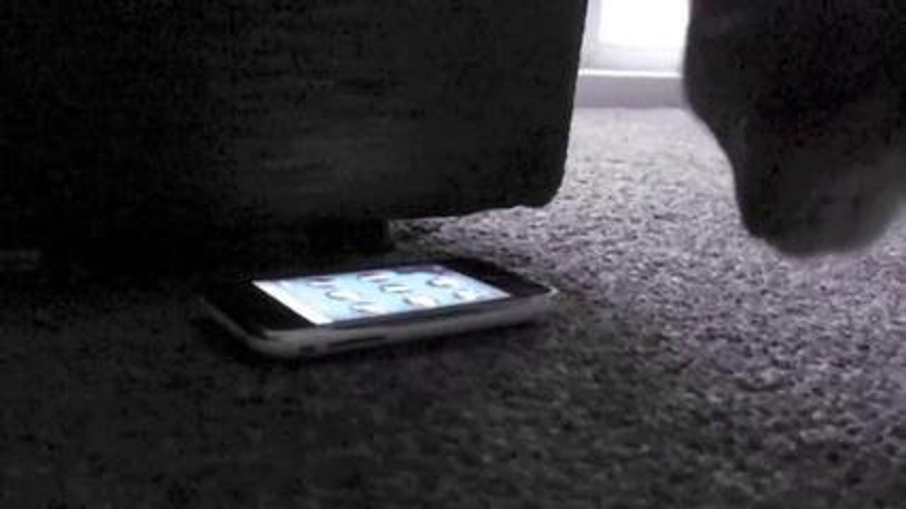 Quand ton chat découvre que ton smartphone fait miaou