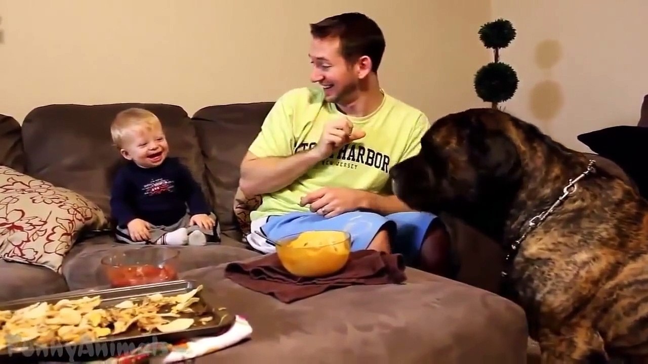 Babies Laughing Hysterically at Dogs Compilation 2015 [NEW HD]