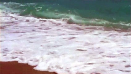 h@ns - terug naar de kust / maggie macneal