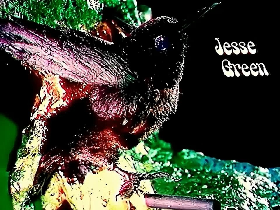 Jesse Green - Nice n Slow - ( Alta Calidad ) HD