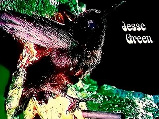 Jesse Green - Nice n Slow - ( Alta Calidad ) HD