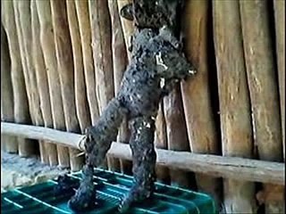 CAE BOLA DE FUEGO EN YUCATAN, 29 sep 2013